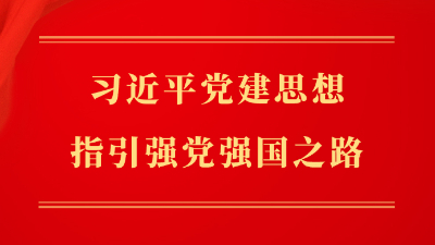 習近平黨建思想指引強黨強國之路